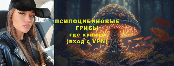 кокс Ладушкин